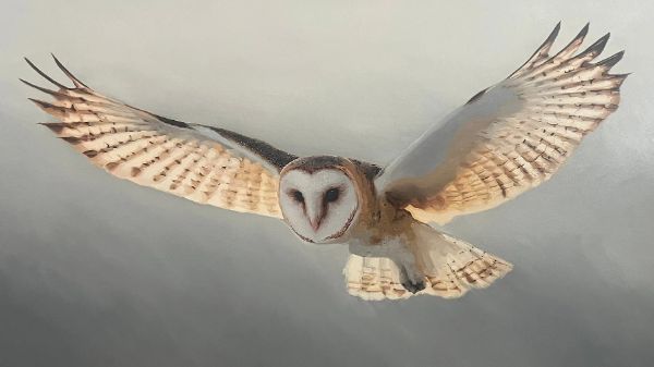 اولین مسیر برای یادگیری