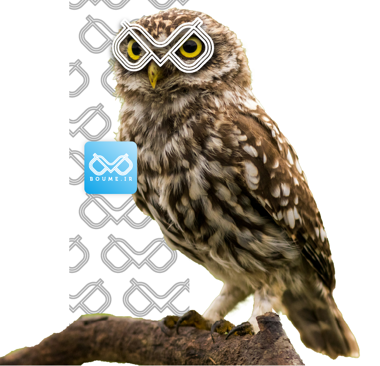 داستان تولد بومه